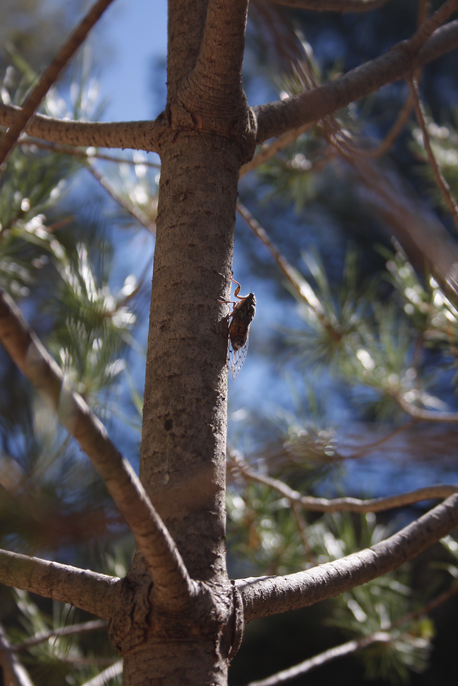 Photographies par Lucie Berthon, villes et nature